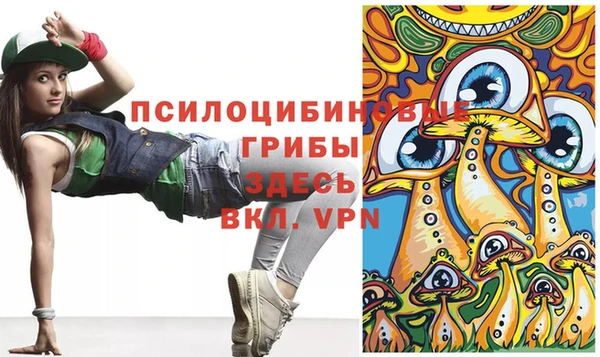 mdpv Белокуриха