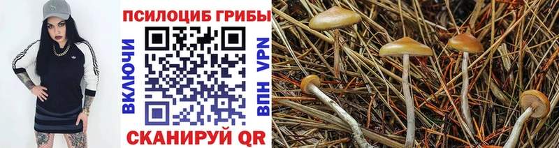 как найти закладки  Волжск  Галлюциногенные грибы прущие грибы 